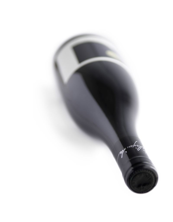 Montechiaro “Arteliquida” Toscana Malvasia Nera - Afbeelding 2